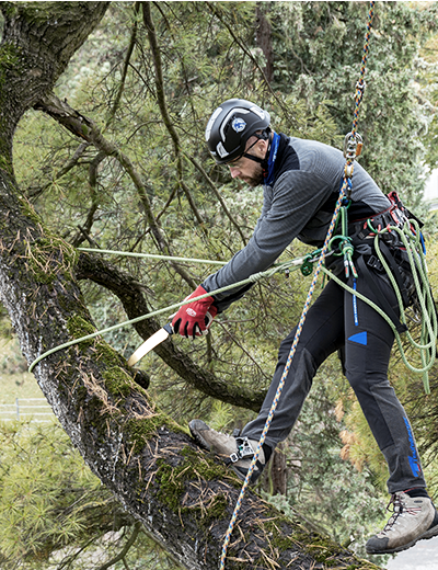 Products and ropes for tree care