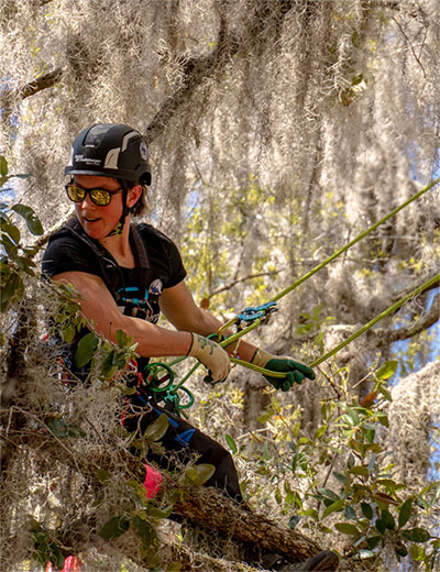 Climbing ropes for tree care