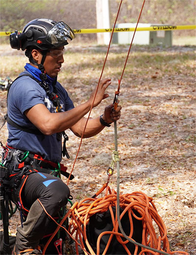 Prusik and hitch cords for tree care | TEUFELBERGER