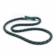 Sirius Loop 