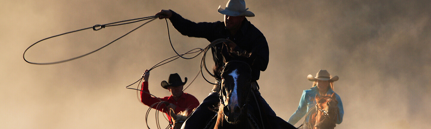 Reins for Leading and Roping