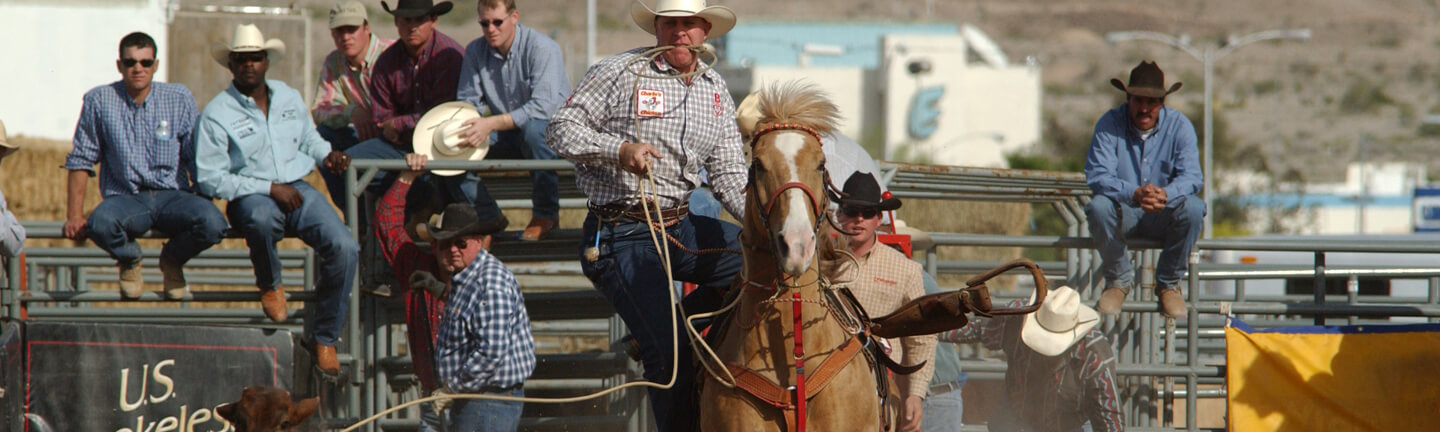 Lines for Calf Roping