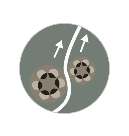 TEWE SoPRIM - Strap Feeding