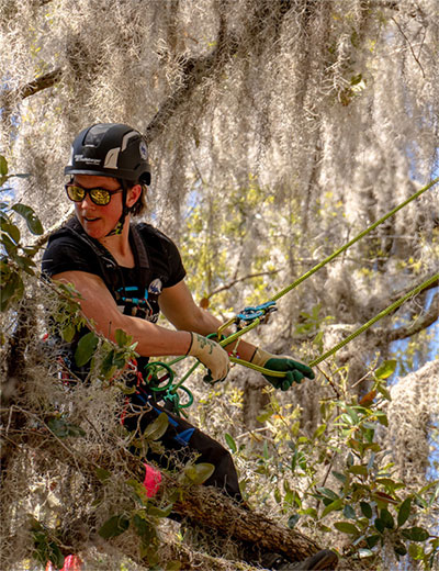 Climbing Line